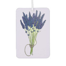 Lavandula Lavender Bunch Kraut Lila Blumengarten