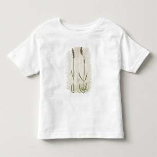 Lavandula officinalis (alter englischer Lavendel), Kleinkind T-shirt