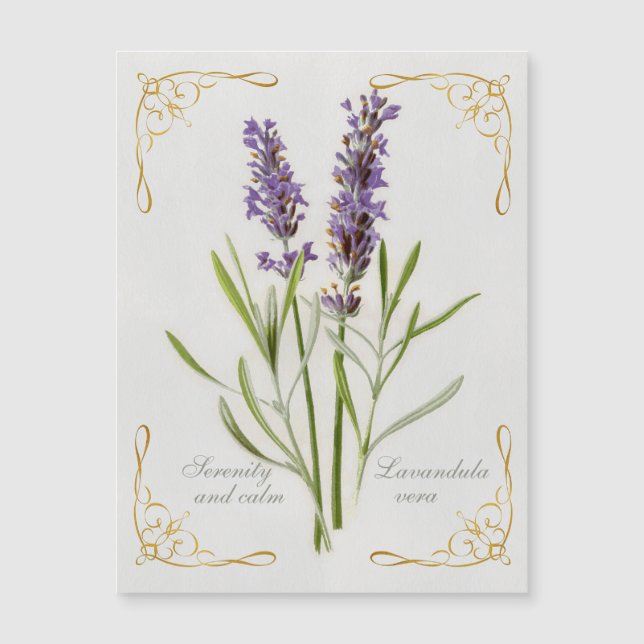 Lavandula Vera Serenity and Calm Magnetkarte (Vorderseite)