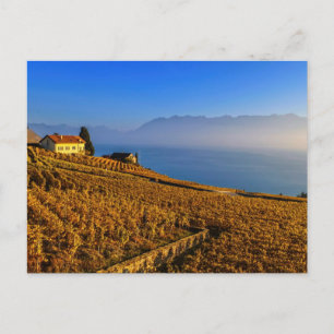 Lavaux region, Vaud, Switzerland Postkarte