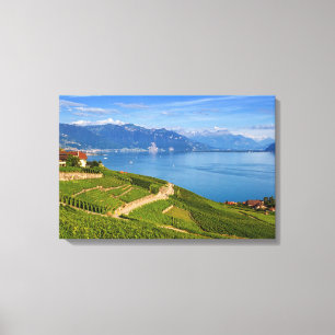 Lavaux Region, Waadt, die Schweiz Leinwanddruck