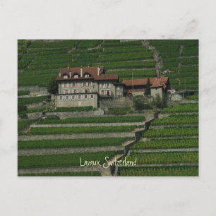 Lavaux, Schweiz Postkarte