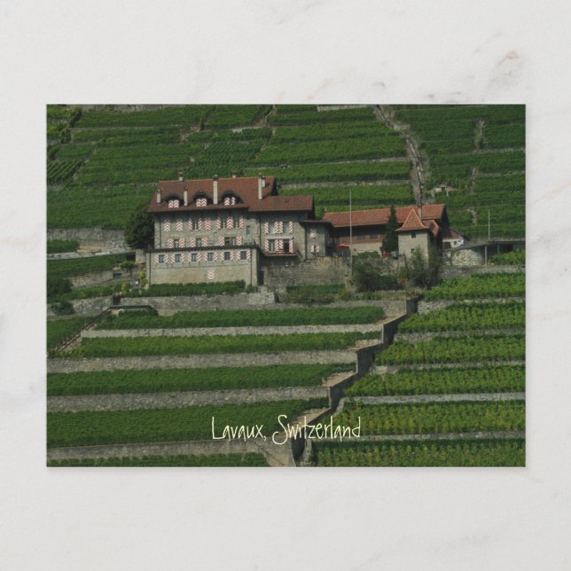Lavaux, Schweiz Postkarte (Vorderseite)
