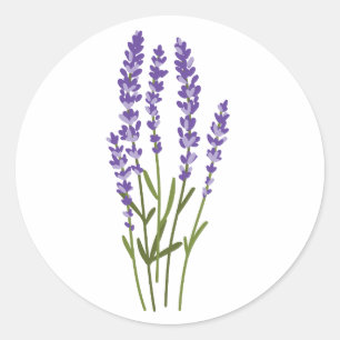 Lavendel Aufkleber Aquarellkraut Blume