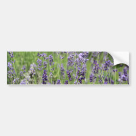 Lavendel Autoaufkleber