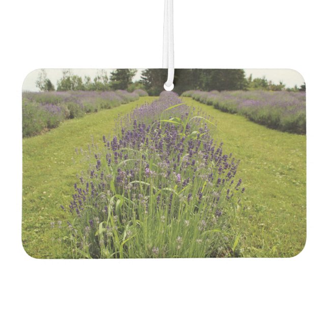 Lavendel  autolufterfrischer (Vorderseite)