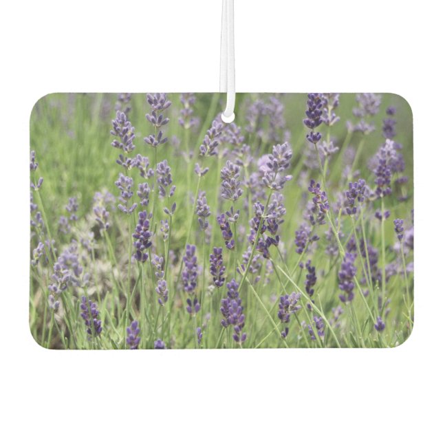 Lavendel  autolufterfrischer (Vorderseite)
