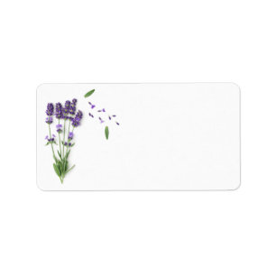 Lavendel-Blume Abgeschieden im weißen Hintergrund Adressaufkleber