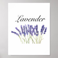 Lavendel Blume Aquarellkräuter lila schick