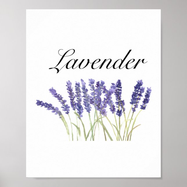 Lavendel Blume Aquarellkräuter lila schick Poster (Vorne)