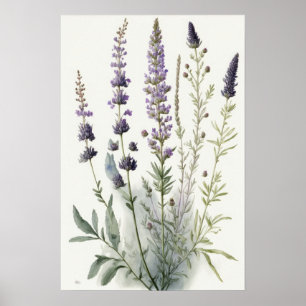 Lavendel Blume Art Print Poster