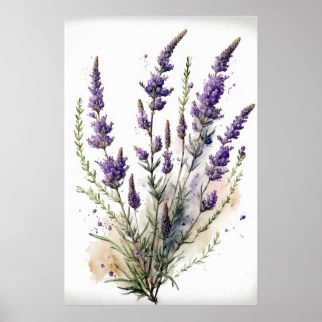 Lavendel Blume Art Print Poster (Vorne)