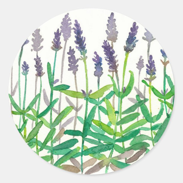 Lavendel Blume Botanische Wasserkräuterkunst Runder Aufkleber (Vorderseite)