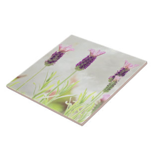 Lavendel-Blume Fliese