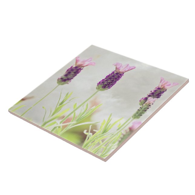 Lavendel-Blume Fliese (Seite)