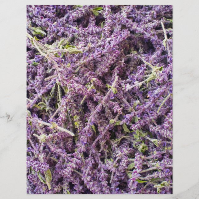 Lavendel-Blume Flyer (Vorne)