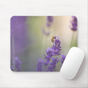 Lavendel Blume Honeybee Nature Foto Mousepad