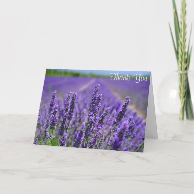 Lavendel Blume Hübsche Lila Blumenbeete Vielen Dan Karte (Vorderseite)