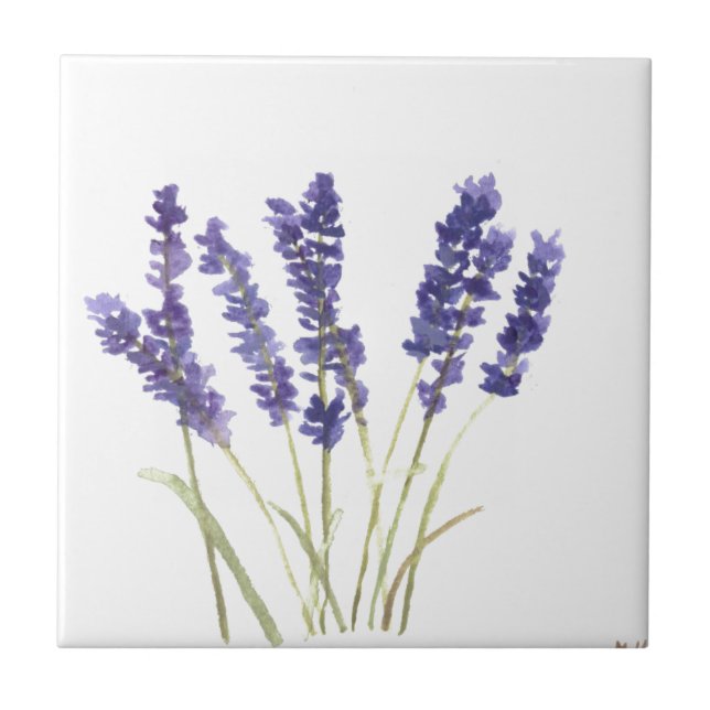 Lavendel Blume Kräuter rustikale lila Wasserfarbe Fliese (Vorderseite)