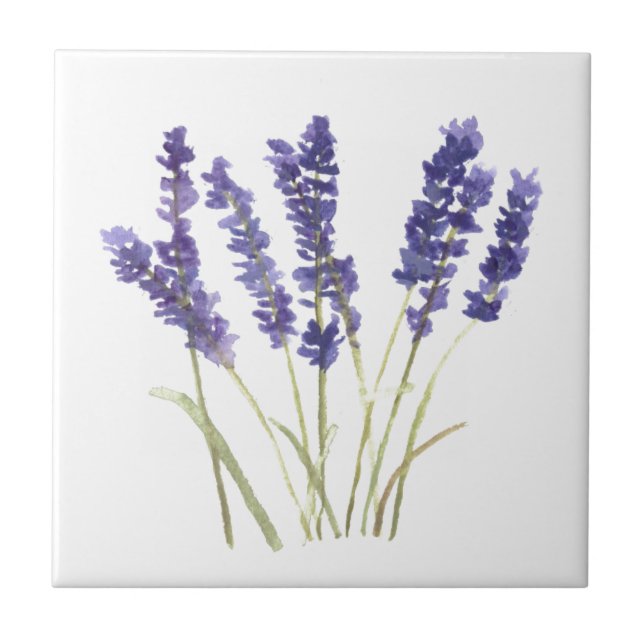 Lavendel Blume Kräuter rustikale lila Wasserfarbe  Fliese (Vorderseite)
