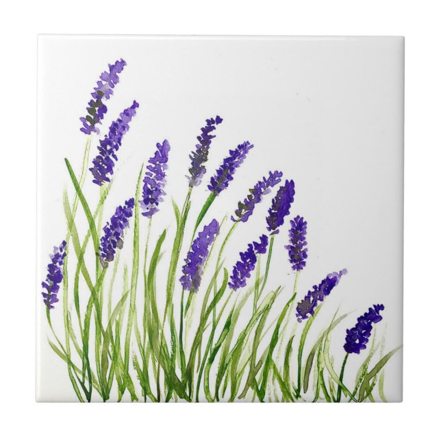 Lavendel Blume Kräuter rustikale lila Wasserfarbe Fliese (Vorderseite)