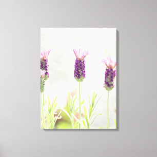 Lavendel-Blume Leinwanddruck