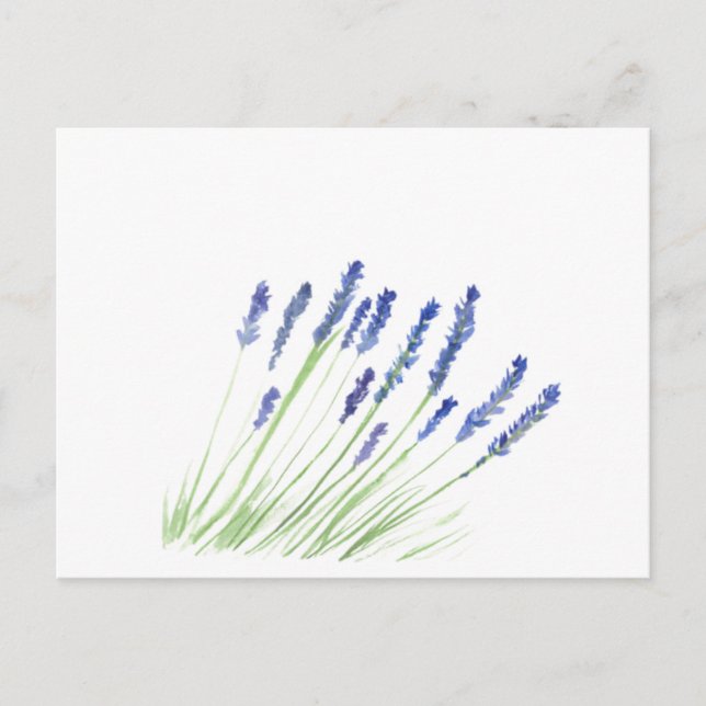 Lavendel-Blume Lila Postkarte (Vorderseite)