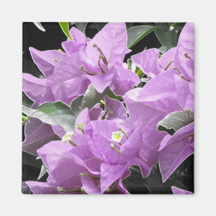 Lavendel-Blume Magnet