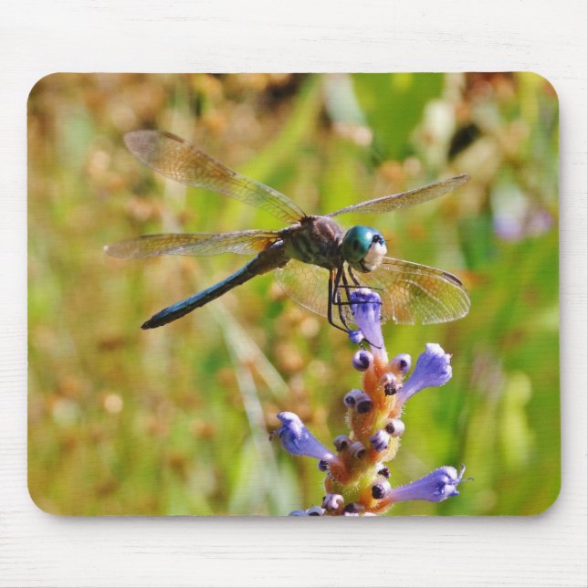 Lavendel-Blume Mousepad (Vorne)