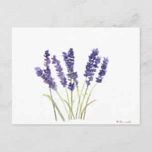 Lavendel-Blume Postkarte