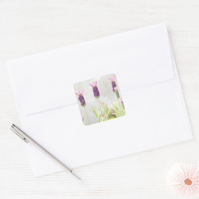Lavendel-Blume Quadratischer Aufkleber (Umschlag)