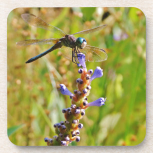 Lavendel-Blume Untersetzer