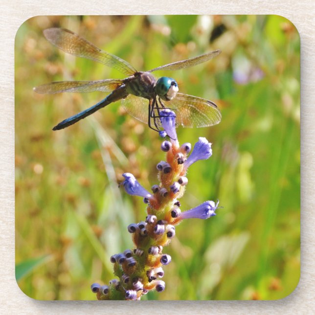Lavendel-Blume Untersetzer (Vorderseite)