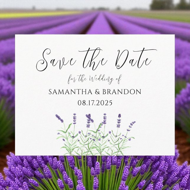 Lavendel Blume Wasserfarbe Lila Blüte Rustikal Postkarte (Von Creator hochgeladen)