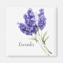Lavendel-Blume Wasserfarbe