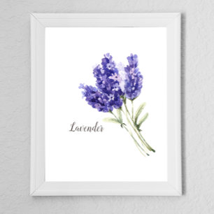 Lavendel Blume Wasserfarbe Poster