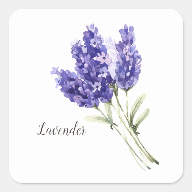 Lavendel-Blume Wasserfarbe Quadratischer Aufkleber (Vorderseite)