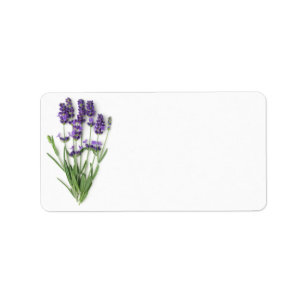 Lavendel-Blumen abgeschieden auf weißem Adressaufkleber