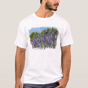 Lavendel-Blumen auf dem Gebiet am Sommer, Provence T-Shirt