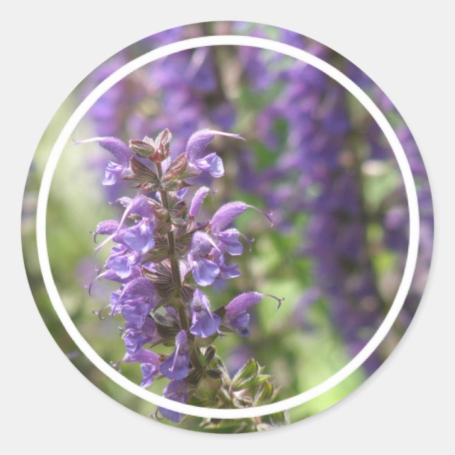 Lavendel-Blumen-Aufkleber Runder Aufkleber (Vorderseite)