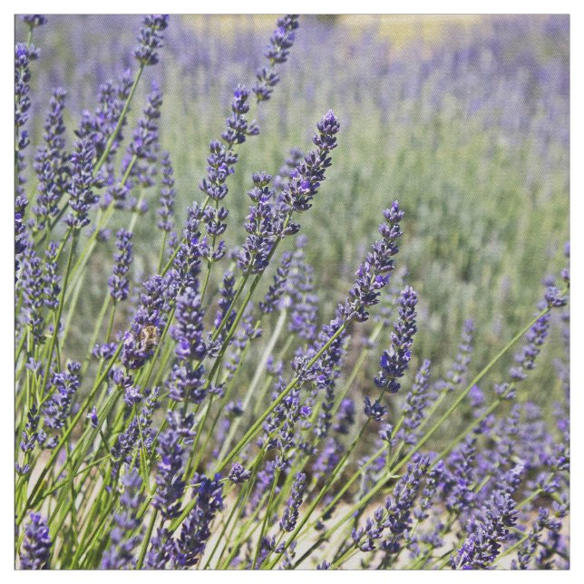 Lavendel-Blumen Stoff (Muster)
