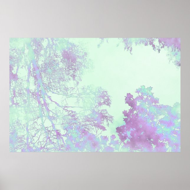 Lavendel-Breitblatt-Nebel Poster (Vorne)