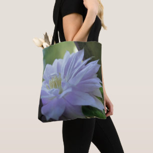 Lavendel Clematis-Blüte in einem Gitterwerk