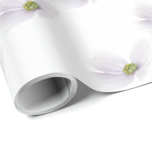 Lavendel Cosmos Blume auf Weiß  Geschenkpapier