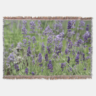 Lavendel Decke
