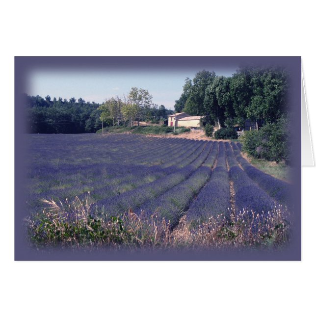 Lavendel-Dunst-Raum-Kunst-Karte (Vorderseite (Horizontal))