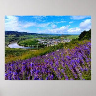 Lavendel entlang der Mosel in Deutschland Poster