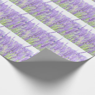 Lavendel fängt Fotografie, verschiedene Geschenke Geschenkpapier