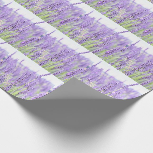 Lavendel fängt Fotografie, verschiedene Geschenke Geschenkpapier (Ecke)