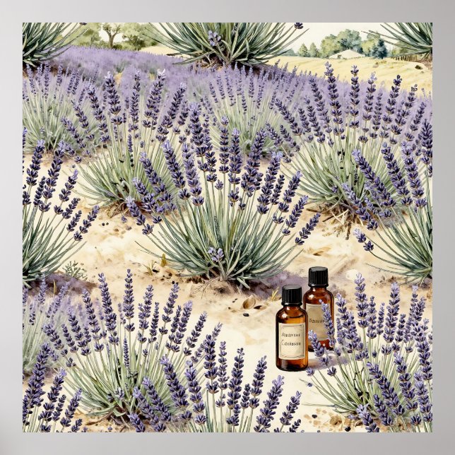 Lavendel-Feld Ätherisches Öl-Wasserfarbenmuster Poster (Vorne)